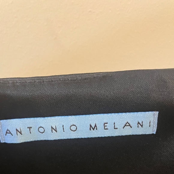 Antonio Melani Satin Skirt - Picture 3 of 4